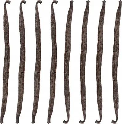 Zdjęcie produktu dla LASKA WANILII 13-16 cm Wanilia Laski Madagaskar Jakość 1 Kol-Pol - 8 sztuk