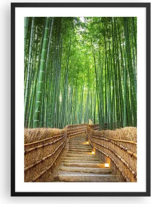 Produktbild von Gerahmtes Poster - Schwarzer Rahmen - Bambus Pflanze - 50x70 cm - Wand Bild - Wanddeko - Wandbilder - Kunstposter - Wandposter - Bilderrahmen - Bilder - Kunstdruck - Wandbild - P2BPA50x70-3979