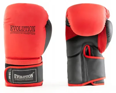 Produktbild von Evolution RB-270 Boxhandschuhe Kunstleder 12 oz