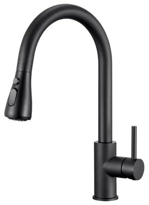 Image de Robinet de cuisine noir avec pommeau de douche extractible et 2 modes