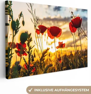 Produktbild von MuchoWow® - Leinwandbilder - Rote Mohnblumen bei Sonnenaufgang, Wandbild, Wanddeko Bilder Wohnzimmer, 120x80 cm