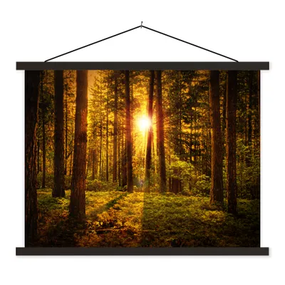 Produktbild von MuchoWow® Textilposter Wald - Sonne - Bäume - Natur - Sonnenuntergang 150x113 cm mit schwarzem Rahmen - Wohnzimmer