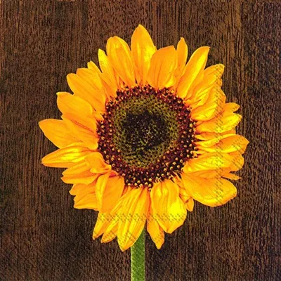 Produktbild von Sunflower For You Lunch-Servietten L 589900