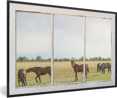 Produktbild von MuchoWow® MuchoWow® Gerahmtes Poster Durchschauen - Pferde - Tiere 90x60 cm - Poster mit zchwarzem Bilderrahmen - Fotorahmen - Foto-Plakat