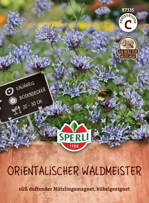 Produktbild von SPERLI Waldmeister Saatgut Orientalisch Asperula orientalis 40 Pflanzen