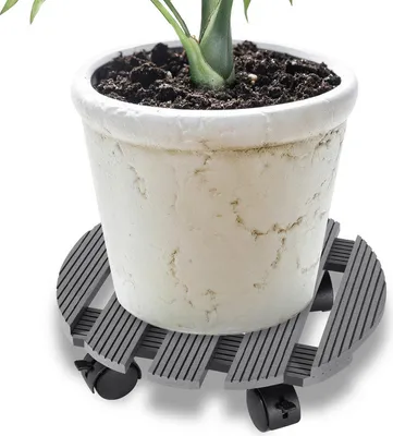 Image de Jopassy 2x rouleurs de plantes WPC rouleurs de fleurs dessous de pots de fleurs planche à roulettes Gris Rond