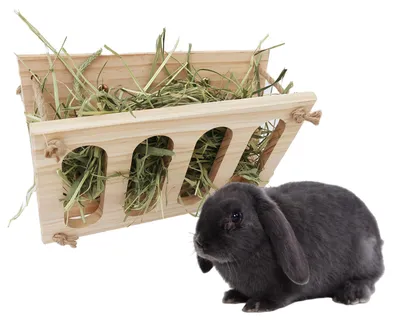 Heuraufe aus Holz für Kaninchen, Meerschweinchen & Chinchilla