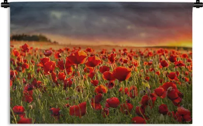 Produktbild von MuchoWow® Wandteppich Wandbehang Sonnenuntergang - Mohnblumen - Rot 60x40 cm Tapisserie Dekoration Wandtuch - Wanddekorationen