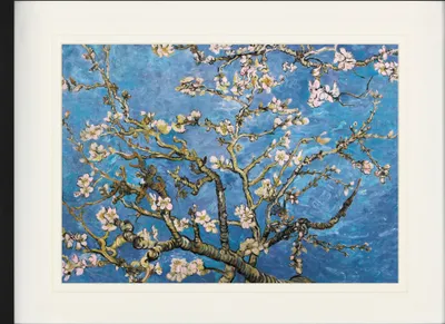 Produktbild von Vincent Van Gogh Gerahmtes Bild Mit Edlem Passepartout | Wand-Bilder | Im Bilderrahmen - Blühende Mandelbaumzweige, 1890 (60 x 80 cm)