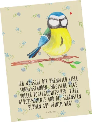 Produktbild von Mr. & Mrs. Panda Postkarte Vogel Blaumeise - Blumig - Geschenk, Frühling, Liebe Grüße, Ansichtskarte, Ostern, Ostergeschenke, Grußkarte, einzelkarte, Postkarten