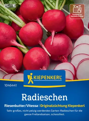 Zdjęcie produktu dla Nasiona rzodkiewki Kiepenkerl Riesenbutter/Vitessa – duże, łagodne i plenny bulwy