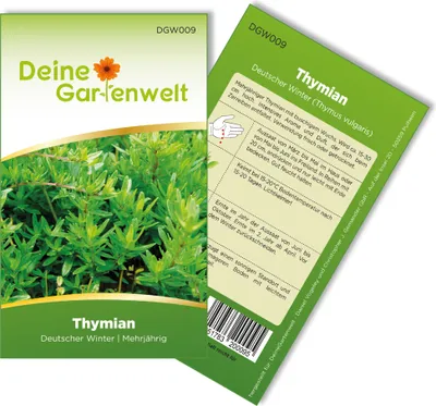 Thymian Deutscher Winter Samen - Thymus vulgaris - Thymiansamen - Kräutersamen - Saatgut für 150 Pflanzen