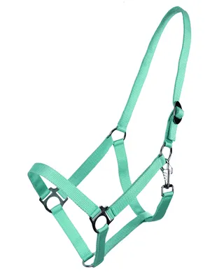 Produktbild von Halfter mit Schiebeschnalle Turquoise Cob