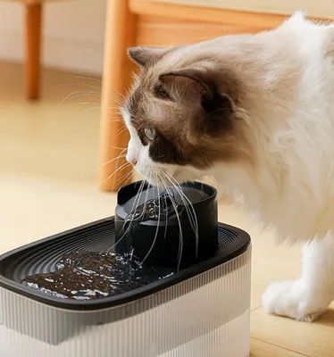 Automatischer Wasserspender für Haustiere, Schwerkraft-Tränke