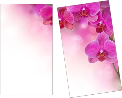 Produktbild von Spritzschutz Herdabdeckplatte Schneidebrett aus Glas Orchideen Design 2-Teilig (60x52cm)