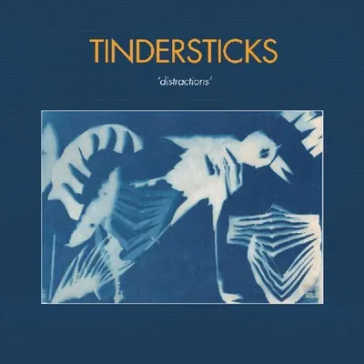 Image de Tindersticks - Distractions Vinyle
