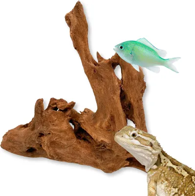 Produktbild von BioRoot Mangrovenwurzel für Terrarium und Aquarium M 30-40cm