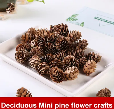 A pile of small, decorative pinecones on a white tray, with some greenery and a card in the background.