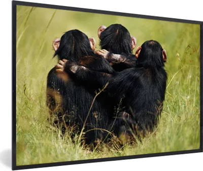 Produktbild von MuchoWow® MuchoWow® Gerahmtes Poster Affe - Gras - Tiere 90x60 cm - Poster mit zchwarzem Bilderrahmen - Fotorahmen - Foto-Plakat