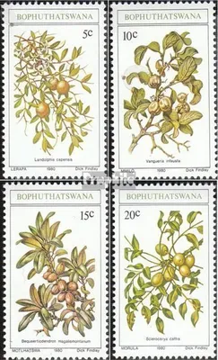 Produktbild von Briefmarken Bophuthatswana 1980 Mi 56-59 (kompl.Ausg.) postfrisch Wildobst