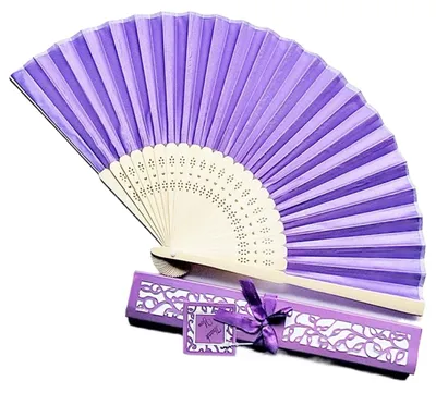 Immagine prodotto di Set di 20 ventagli in bambù con confezione regalo