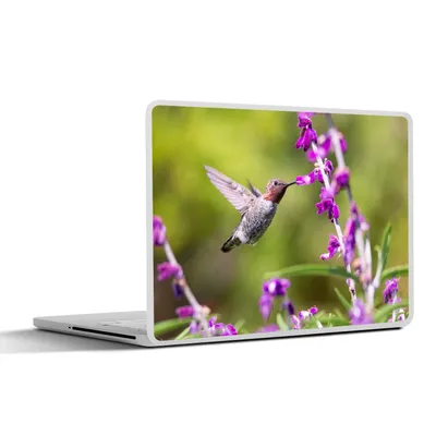 Produktbild von MuchoWow® Laptop Aufkleber Sticker Cover Kolibri - Vogel - Natur 40x30 cm - Laptop Dekoration - Selbstklebend