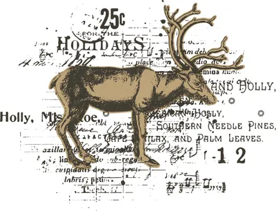 Image de Sizzix Framelits Stanzschablone und Clear Stamps Reindeer Mix Cluster by 49 and Market 2 Teile