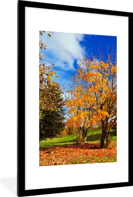 Produktbild von MuchoWow® Gerahmtes Poster Baum - Blätter - Herbst - Jahreszeiten 60x90 cm - Poster mit Schwarzem Bilderrahmen Wandposter Rahmen Foto Bilder - Dekoration - Wandposter Wohnzimmer - Hochwertig