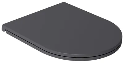 Produktbild von INFINITY WC-Sitz SLIM, Soft Close, Easy Take, Anthrazit