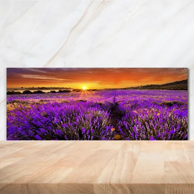 Produktbild von Tulup® Küchenrückwand Spritzschutz aus Glas -125x50 -Spritzschutz auf gehärtetes Glas Deko Landschaften Lavendelfeld
