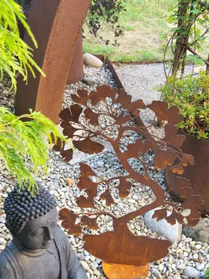 Productafbeelding van Edelrost Bonsai Ginko