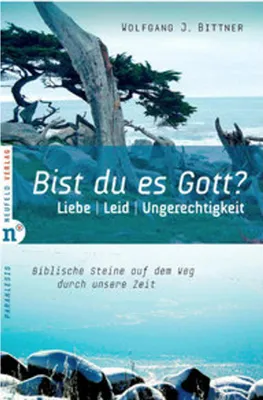 Produktbild von Bist du es, Gott?