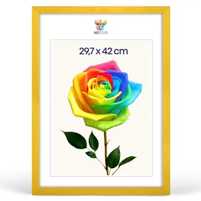 Produktbild von MG Design Bilderrahmen Gelb A3 29,7x42 cm - Posterrahmen Echtholz mit Acrylglas, stabile Wandaufhängung, hoch/quer