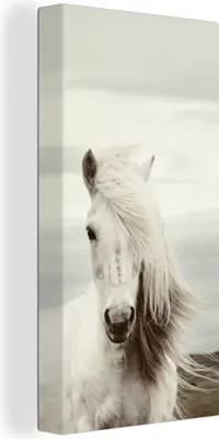 Produktbild von MuchoWow® - Leinwandbilder - Pferd - Strand - Mähne, Wandbild, Wanddeko Bilder Wohnzimmer, 40x80 cm