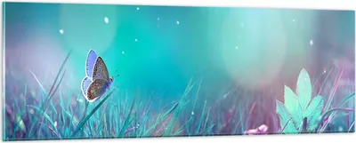 Produktbild von Bilder auf glas - Schmetterling Wiese Blume - 90x30cm - Glasbilder - Wandbilder - Kunstdruck - zum Aufhängen bereit - Wanddekoration aus Glas - Glas Bilder - Wandbild auf Glas - GAB90x30-4077