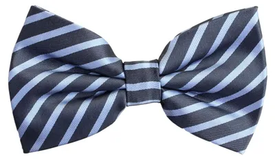 Produktbild von Fabio Farini - 1 Stück Herren Streifen Fliegen - Männer Querbinder Vorgebunden Bowtie Streifen - Navyblau/Hellblau