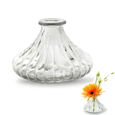 Produktbild von 12 x Vasen in vielen Farben und Formen Dekovase - Glasvase - Väschen - Tischvasen - Blumenvasen (Chantal H 7 cm - Ø 10 cm)