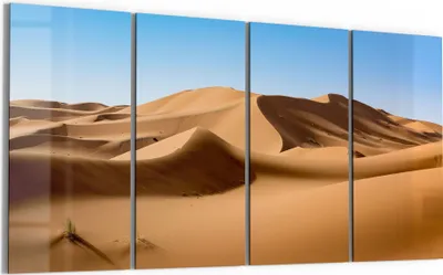 Produktbild von DEQORI Glasbild Echtglas 4x30x60 cm 'Dünenlandschaft' Wandbilder XXL groß