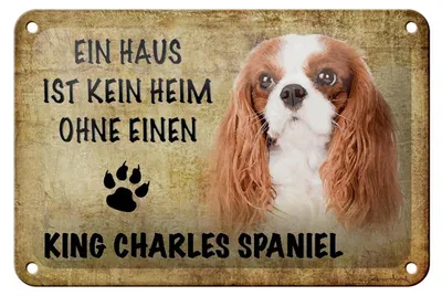Produktbild von Blechschild Spruch 18x12cm King Charles Spaniel Hund ohne kein Heim