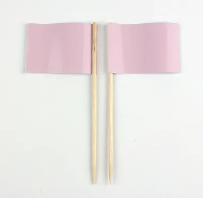 Produktbild von Party-Picker Flagge Uni Rosa Papierfähnchen in Spitzenqualität 25 Stück Beutel