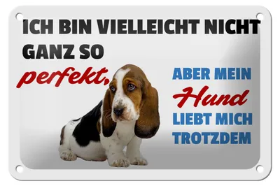 Produktbild von Blechschild Spruch 18x12cm mein Hund liebt mich trotzdem