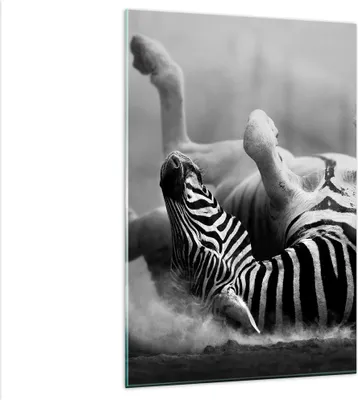 Produktbild von Bilder auf glas - Einteilig - Zebra Streifen Tier wild - 80x120cm - Glasbilder - Wandbilder - Bilder - zum Aufhängen bereit - Wanddekoration aus Glas - Glas Bilder - Wandbild auf Glas - GPA80x120-2699