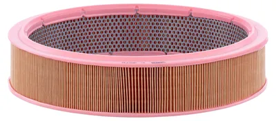 Obrázek produktu pro Vzduchový filtr MANN-FILTER C 3576