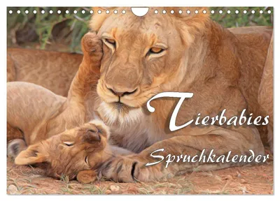Produktbild von Tierbabies - Spruchkalender (Wandkalender 2027 DIN A4 quer), CALVENDO Monatskalender