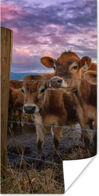 Produktbild von MuchoWow® Poster Kuh - Tiere - Kühe 60x120 cm - Wandschmuck