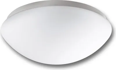 Produktbild von Steinel Professional Deckenleuchte SLAVE RS PRO 1000 Glas 2x18W G24q-2