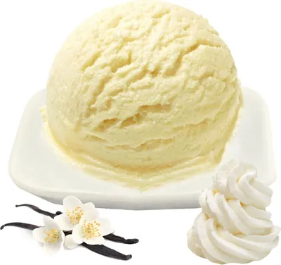 Image de Crème glacée vanille Low Carb Poudre Vegan sans sucre, sans lactose 100 kg