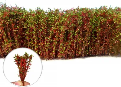 Produktbild von Green Stuff World - Tall Shrubs Red-Green 40mm