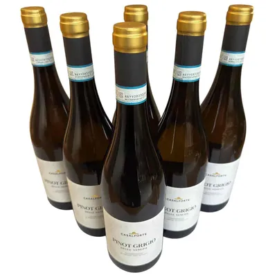 Produktbild von Casalforte Pinot Grigio Venezie DOC 2025 - Cantine Riondo - 6×0,75 L - Weißwein