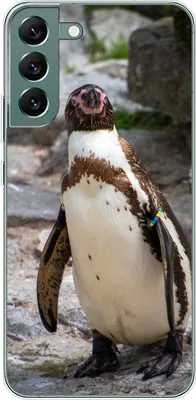 Productafbeelding van König Design hoesje, compatibel met Samsung Galaxy S22 Plus 5G, plastic, zachte telefoonhoesje - telefoonhoesje met pinguinprint